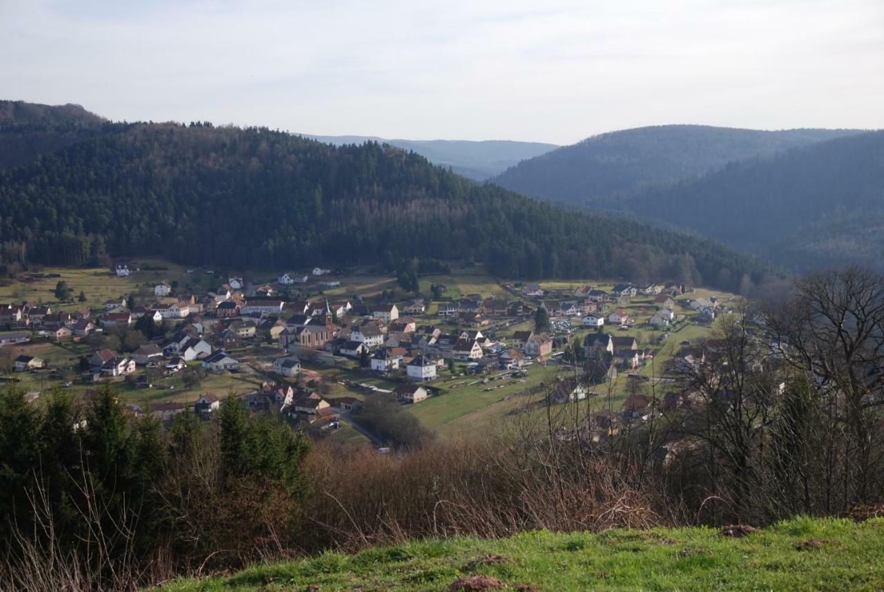 Gite Clos Angelique Haselbourg エクステリア 写真